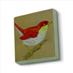 Kuş Baskılı Doğaltaş  Magnet(KRG-157)Buzdolabı Süsü