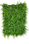 YAPAY BİTKİ DUVAR KAPLAMA 40X60 CM MODEL 1