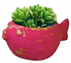 13 Cm Balık Saksı Silikon Kalıp K-753