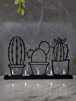 M&C Concept Kaktüs 5'li Metal Mumluk - Siyah