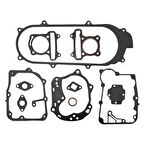 Arora Freedom 50 Conta Seti