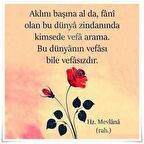 Aklını Başına Al Yazılı Ahşap Buzdolabı Magneti