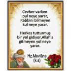 Cevher Varken Pul Neye Yarar Yazılı Ahşap Buzdolabı Magneti