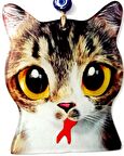 Kedi Desenli Füzyon Cam Duvar Süsü Kedi Severlere Özel Tasarım Hediyelik Eşya