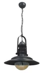Modi Lighting Camlı Tekli Siyah Fener Avize Mod-Av-4434-Bsy