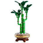 Botanicals Şans Bambusu 10344