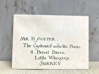 Harry Potter Davet Mektubu 10'lu