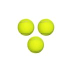Petzoom Köpek Oyun Topu Tenis Topu *** Najmaddin