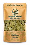 Okaliptus Yaprağı 500 gr