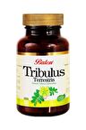 Balen Tribulus Terrestris-Demir Dikeni Ekstraktı 620 mg 60 Kapsül
