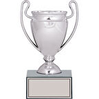 ODAK KUPA - Genel Kupalar - GN-232 A - 21 cm