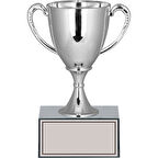 ODAK KUPA - Genel Kupalar - GN-245 C - 19 cm