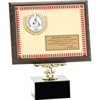 ODAK KUPA - Ahşap Plaketler - PL-056 A - 18x24 cm