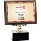 ODAK KUPA - Ahşap Plaketler - PL-056-M A - 18x24 cm