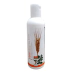 Buğday Özlü Saç Kremi 500 ML - OEM458-9792