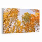 Olla 11035Y Ağaç Görseli Yatay Kanvas Tablo (Ölçü: 70X50)