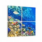 Olla 12126K4 Akvaryum / Balık Görseli Kare 4'lü Kanvas Tablo (Ölçü: 145X145)