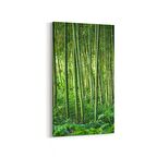 Olla 13552DD Doğa / Manzara Görseli Dikey Dar Kanvas Tablo (Ölçü: 30X60)