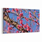 Olla 10925Y Ağaç Görseli Yatay Kanvas Tablo (Ölçü: 30X20)