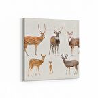 Olla 12686K Hayvanlar Alemi Görseli Kare Kanvas Tablo (Ölçü: 25X25)