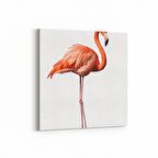 Olla 12631K Hayvanlar Alemi Görseli Kare Kanvas Tablo (Ölçü: 60X60)