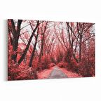 Olla 13583Y Doğa / Manzara Görseli Yatay Kanvas Tablo (Ölçü: 150X100)