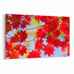 Olla 10951Y Ağaç Görseli Yatay Kanvas Tablo (Ölçü: 30X20)