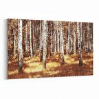 Olla 14095Y Doğa / Manzara Görseli Yatay Kanvas Tablo (Ölçü: 90X60)