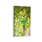 Olla 14962DD Gıda Görseli Dikey Dar Kanvas Tablo (Ölçü: 60X120)