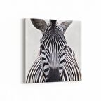 Olla 12512K Hayvanlar Alemi Görseli Kare Kanvas Tablo (Ölçü: 100X100)