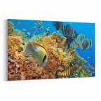Olla 12125Y Akvaryum / Balık Görseli Yatay Kanvas Tablo (Ölçü: 30X20)