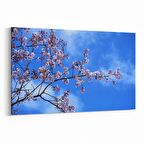 Olla 10957Y Ağaç Görseli Yatay Kanvas Tablo (Ölçü: 120X80)