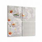 Olla 11704K4 Orkide Çiçek Görseli Kare 4'lü Kanvas Tablo (Ölçü: 65X65)