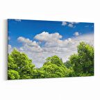 Olla 14562Y Doğa / Manzara Görseli Yatay Kanvas Tablo (Ölçü: 150X100)