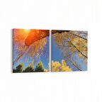 Olla 10706K2Y Ağaç Görseli Kare 2'li Yatay Kanvas Tablo (Ölçü: 65X30)