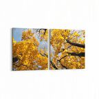 Olla 11005K2Y Ağaç Görseli Kare 2'li Yatay Kanvas Tablo (Ölçü: 145X70)