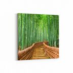 Olla 13916K Doğa / Manzara Görseli Kare Kanvas Tablo (Ölçü: 60X60)