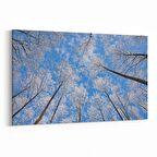 Olla 11007Y Ağaç Görseli Yatay Kanvas Tablo (Ölçü: 45X30)