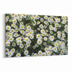 Olla 11611Y Çiçek Görseli Yatay Kanvas Tablo (Ölçü: 90X60)