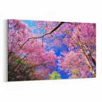 Olla 10587Y Ağaç Görseli Yatay Kanvas Tablo (Ölçü: 45X30)