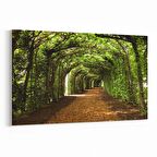 Olla 14625Y Doğa / Manzara Görseli Yatay Kanvas Tablo (Ölçü: 30X20)