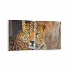 Olla 12487K2Y Hayvanlar Alemi Görseli Kare 2'li Yatay Kanvas Tablo (Ölçü: 85X40)