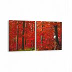 Olla 14592K2Y Doğa / Manzara Görseli Kare 2'li Yatay Kanvas Tablo (Ölçü: 125X60)