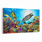 Olla 12133Y Akvaryum / Balık Görseli Yatay Kanvas Tablo (Ölçü: 90X60)