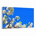 Olla 10878Y Ağaç Görseli Yatay Kanvas Tablo (Ölçü: 45X30)