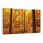 Olla 14337Y Doğa / Manzara Görseli Yatay Kanvas Tablo (Ölçü: 120X80)