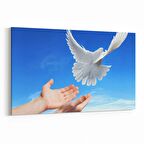 Olla 15891Y Gökyüzü Kuşlar Görseli Yatay Kanvas Tablo (Ölçü: 120X80)