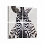 Olla 12512K4 Hayvanlar Alemi Görseli Kare 4'lü Kanvas Tablo (Ölçü: 65X65)