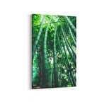 Olla 13313D Doğa / Manzara Görseli Dikey Kanvas Tablo (Ölçü: 60X90)