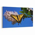 Olla 11049Y Ağaç Görseli Yatay Kanvas Tablo (Ölçü: 90X60)